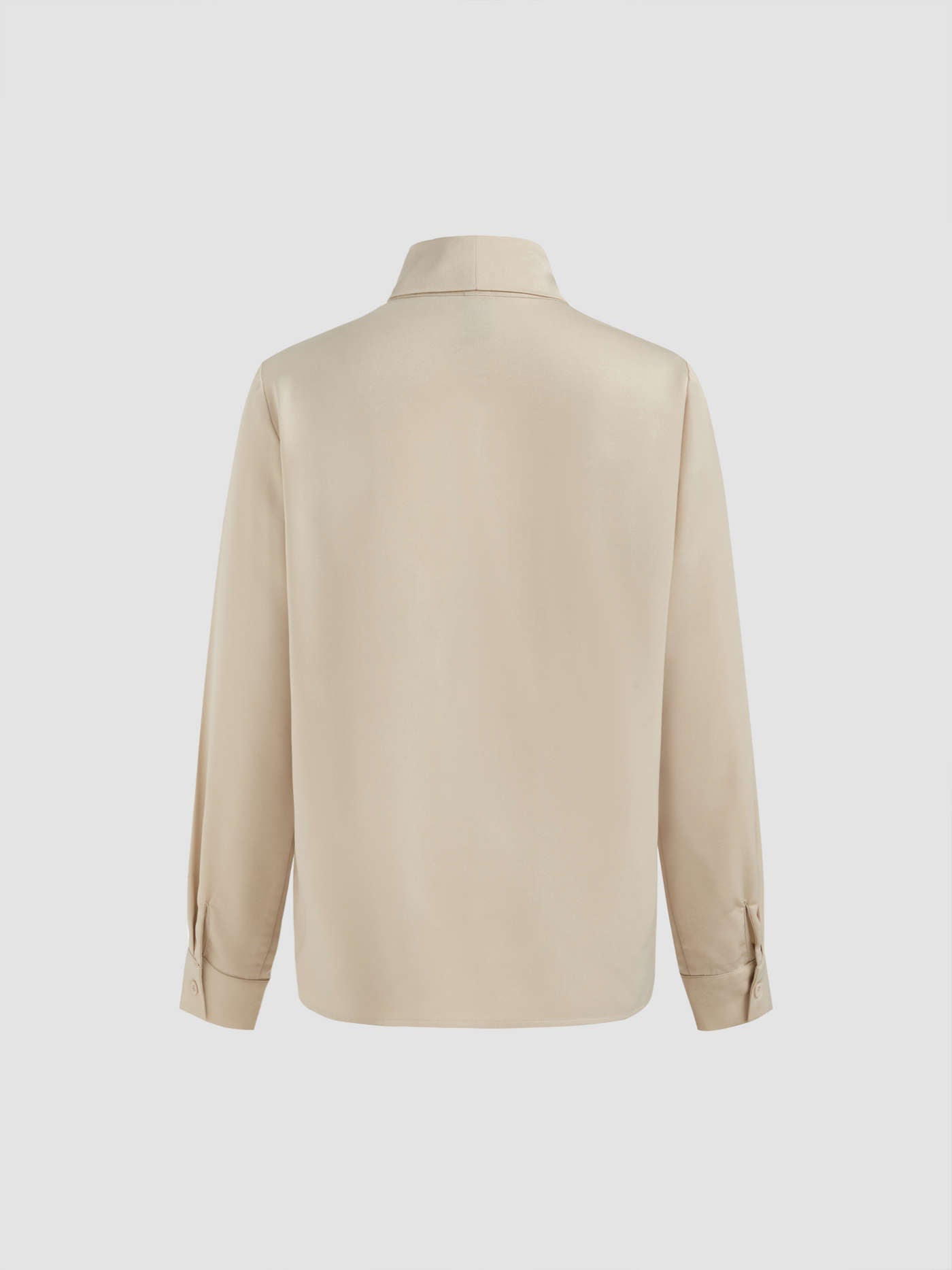 Collar Metal Hook Long Sleeve Blouse With Tie